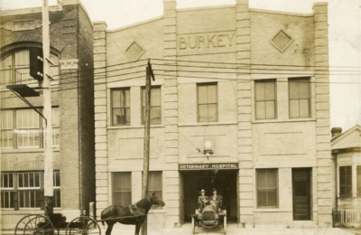 Burkey and Burkey Veterinary Hospital