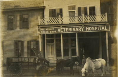 W. A. Knight Veterinary Hospital