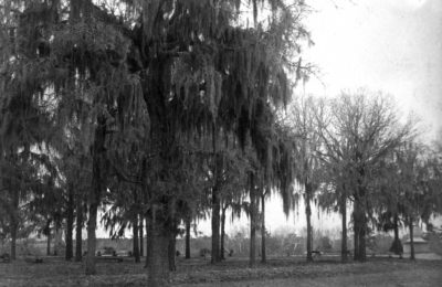 Scenes at Vick’s Park: 1895